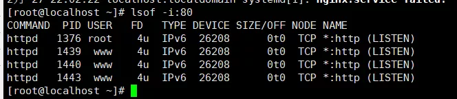 6.webp